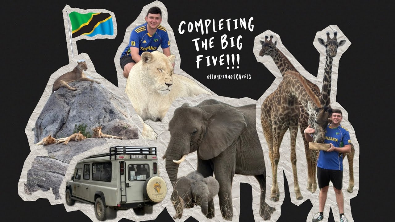 Serengeti Safari and Stroking a Lion!