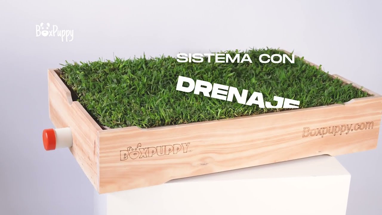 Sanitario para perros BoxPuppy