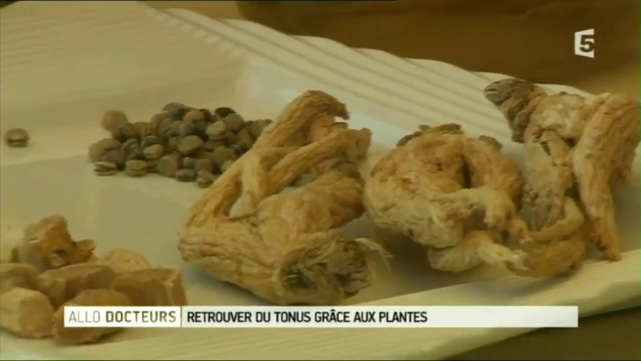 Comment consommer les racines de Ginseng