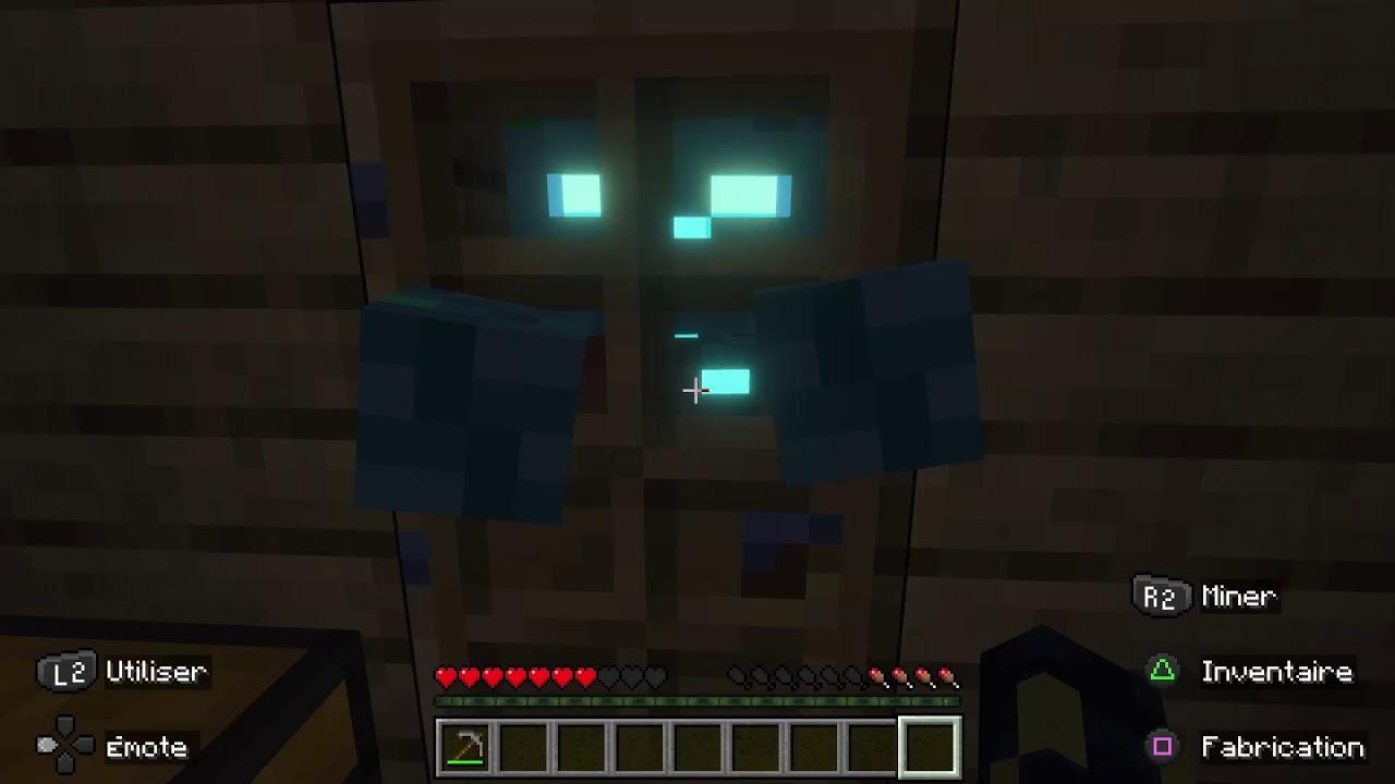 Survie Minecraf