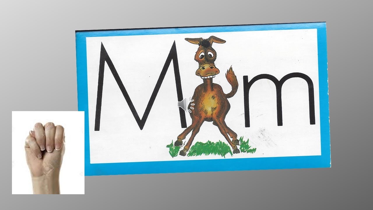 1002 01 Mule - Learn to Read with Ace and Christi (A. C. E. - Accelerated Christian Education)