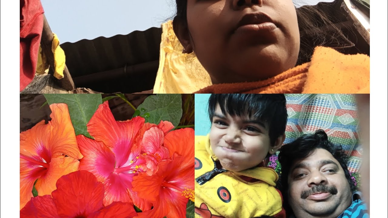 জীবনে চলার পথে আর একটা দিন চলে গেল এইভাবে যেন সকলকে নিয়ে চলতে পারি