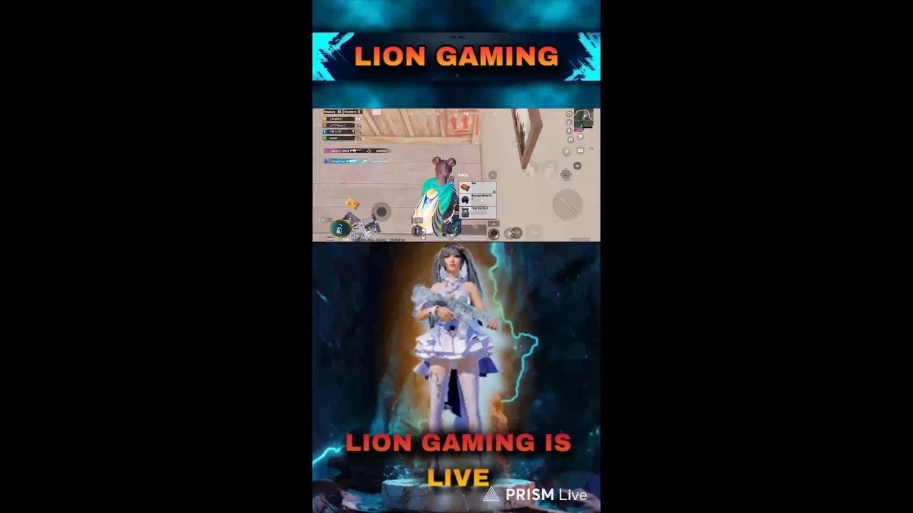 LION GAMING is LIVE  is live