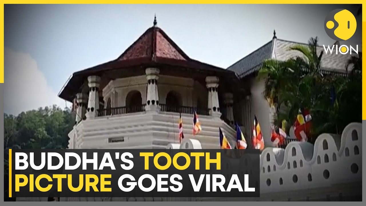 Sri Lanka: Buddha's Tooth Picture Goes Viral | World News | WION