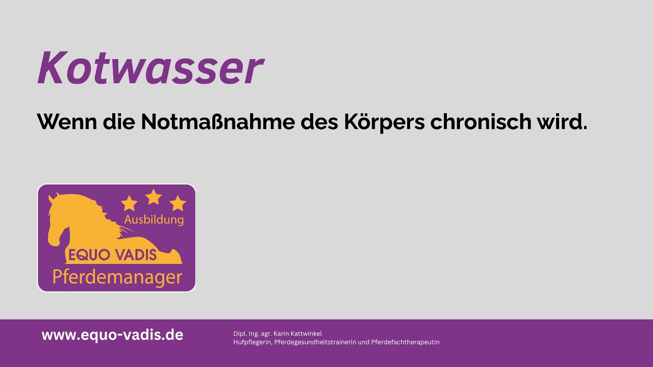 Kotwasser  | Pferdegesundheit | Karin Kattwinkel