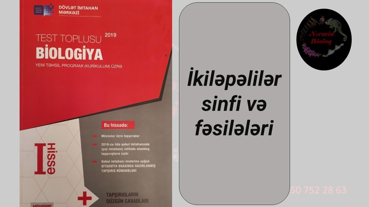 Biologiya, Dim test toplusu, İkiləpəlilər sinfi və fəsilələri