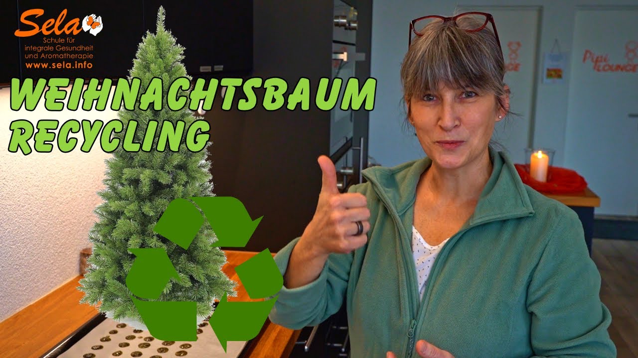 Weihnachtsbaum Recycling - Erkältungsdragees aus Tannennadeln
