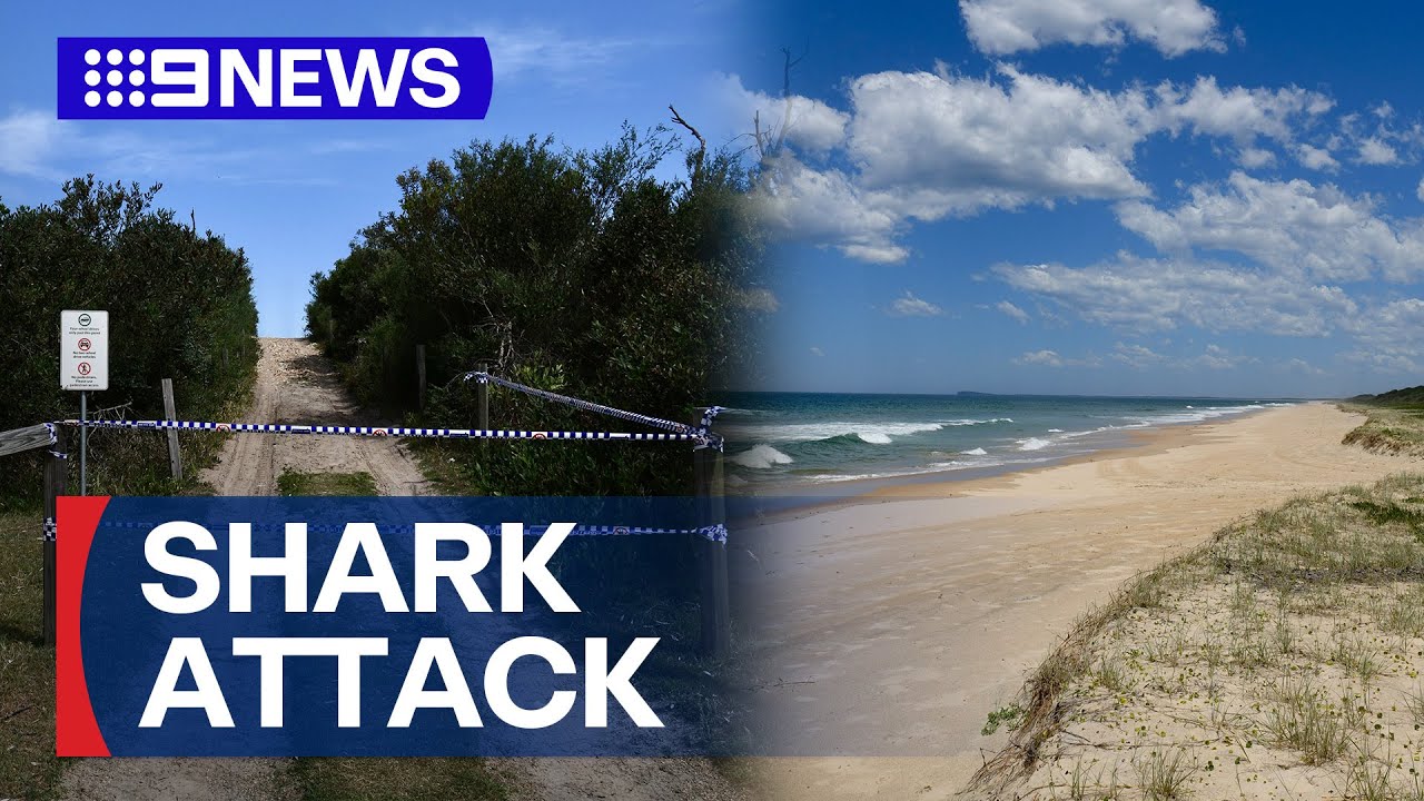 Swiss tourists in deadly shark attack identified | 9 News Australia