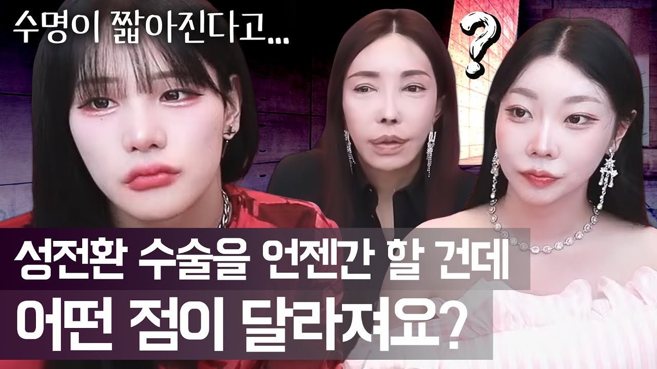 비비 