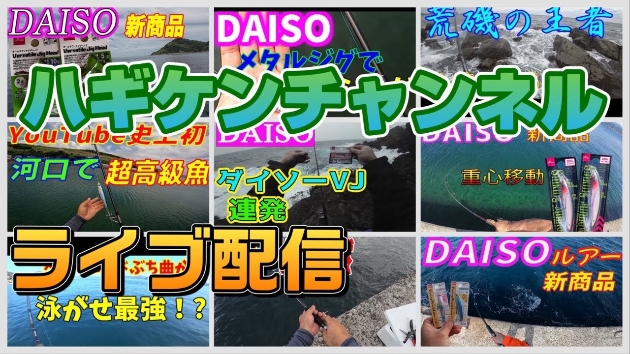 漁港、河口からルアーとエサで釣りライブ