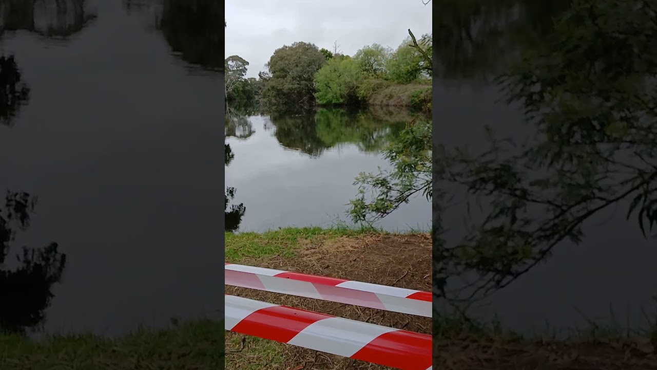 Mork and mindy cruising by, After the mini tornado.!!!.At Werribee river.