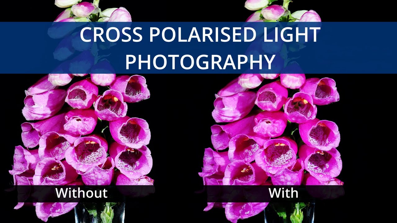 Cross Polarised Light Source Photography