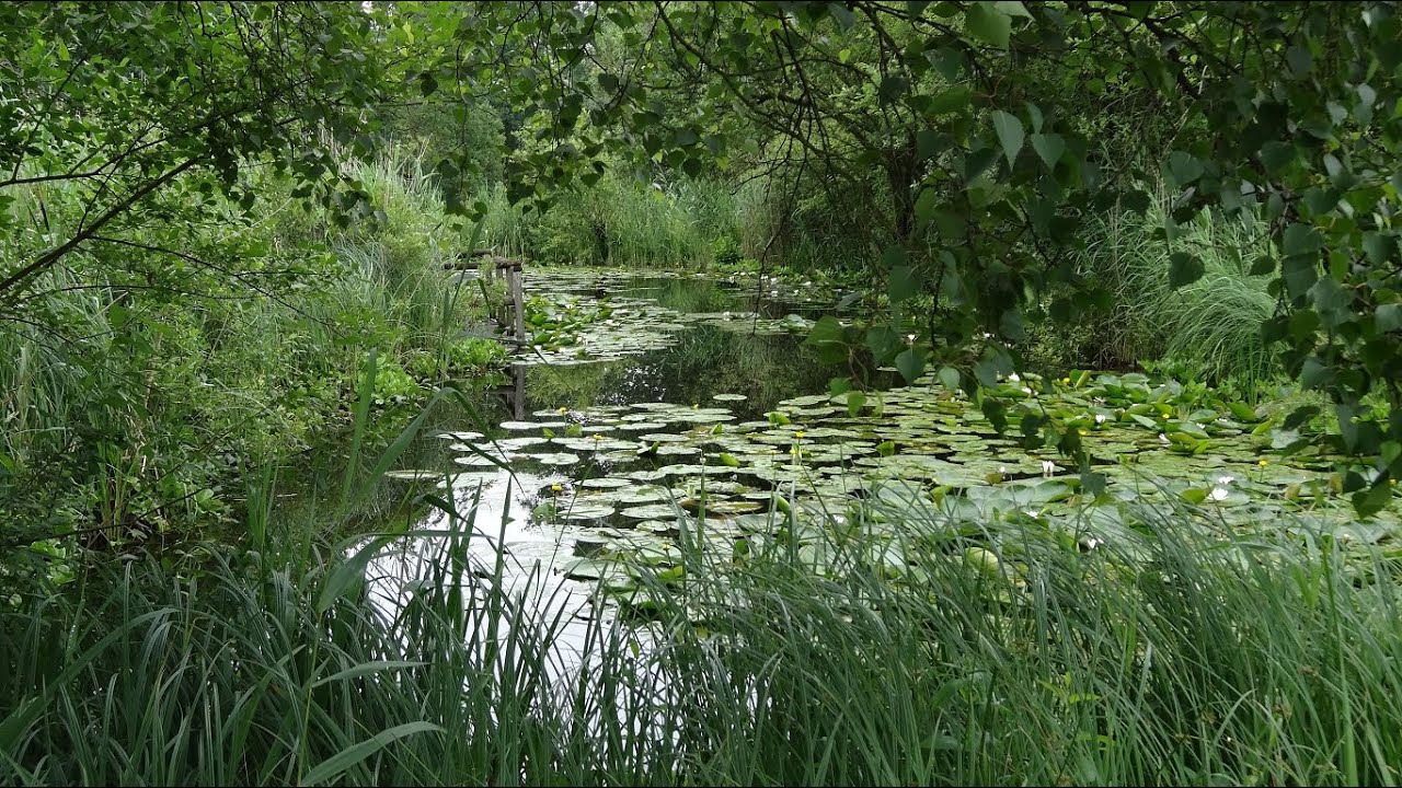 De kracht van haptonomie Ellen Kleingeld