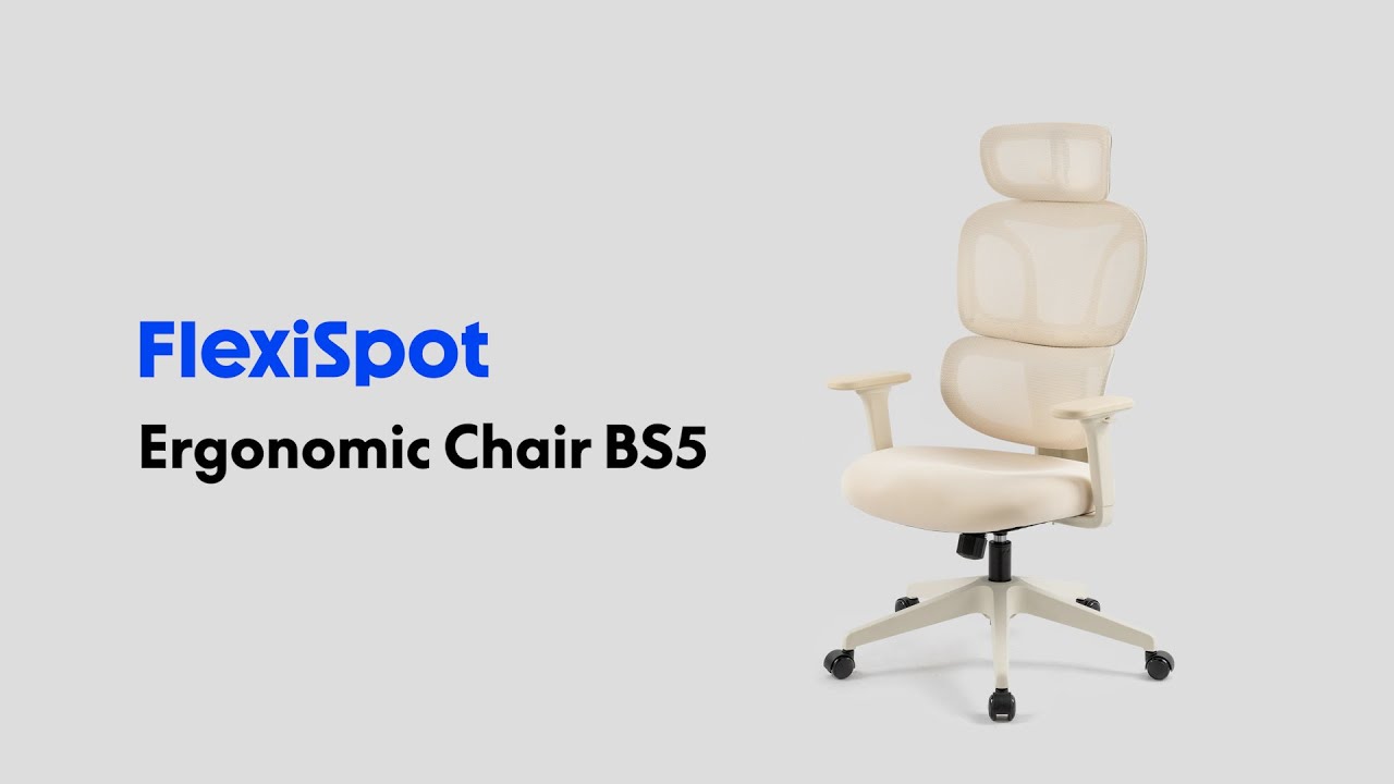 FlexiSpot | Colorful and Fresh Design Ergonomic Office Chair | BS5