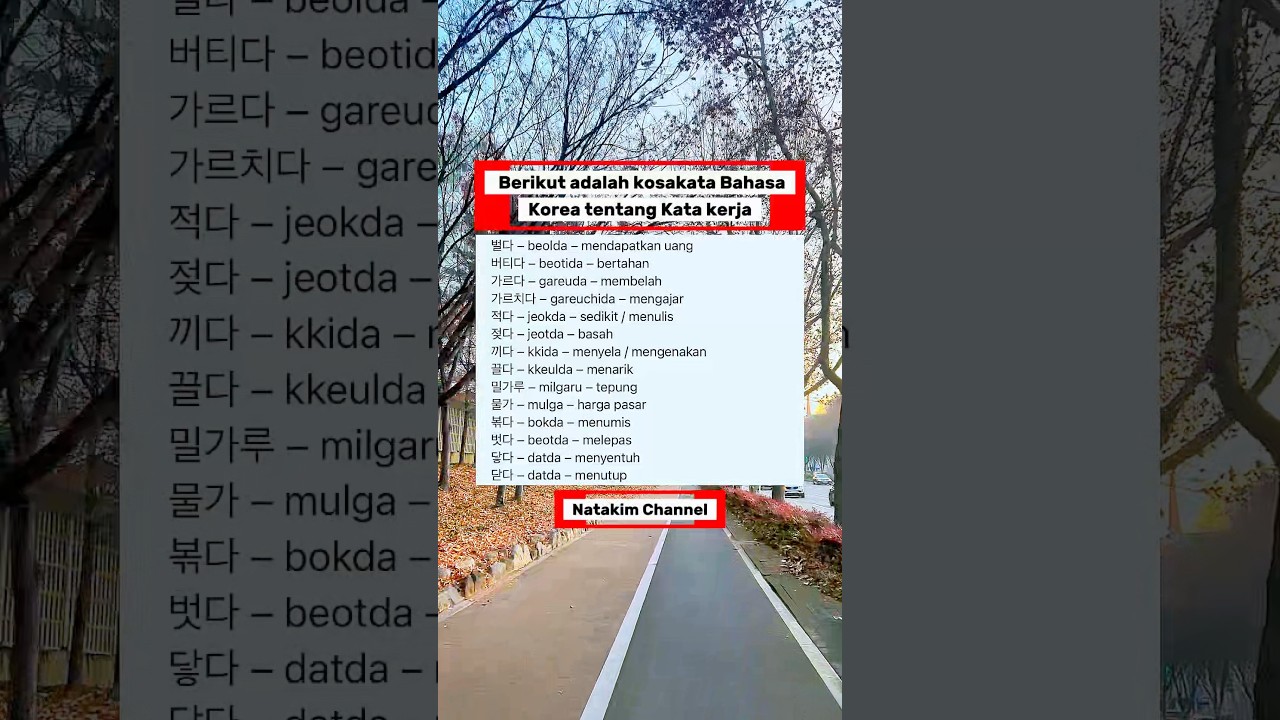 Kosa mata bahasa korea tentang kata kerja umum
