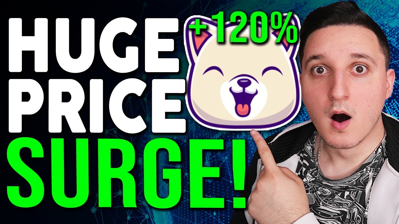 KISHU INU PRICE INCREASE INCOMING ! MASSIVE NEW UPDATE ! KISHU INU PRICE PREDICTION 2021
