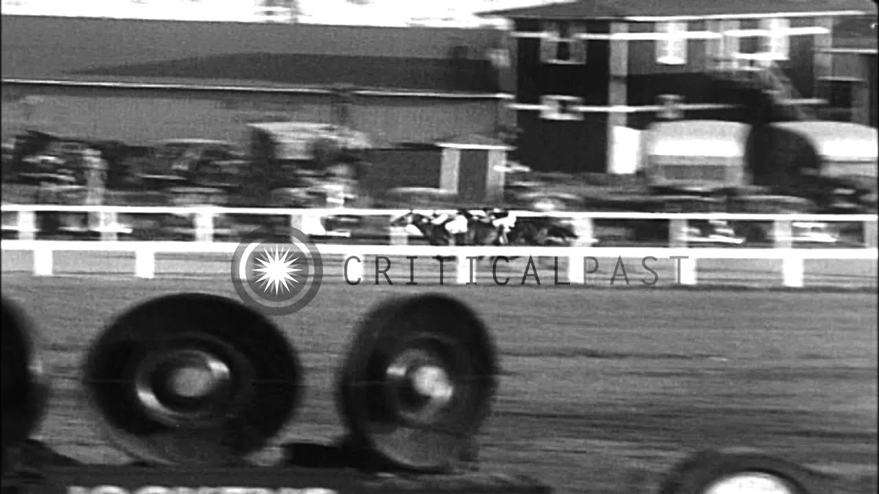Seabiscuit wins the race at Pimlico Race Course, Maryland. HD Stock Footage