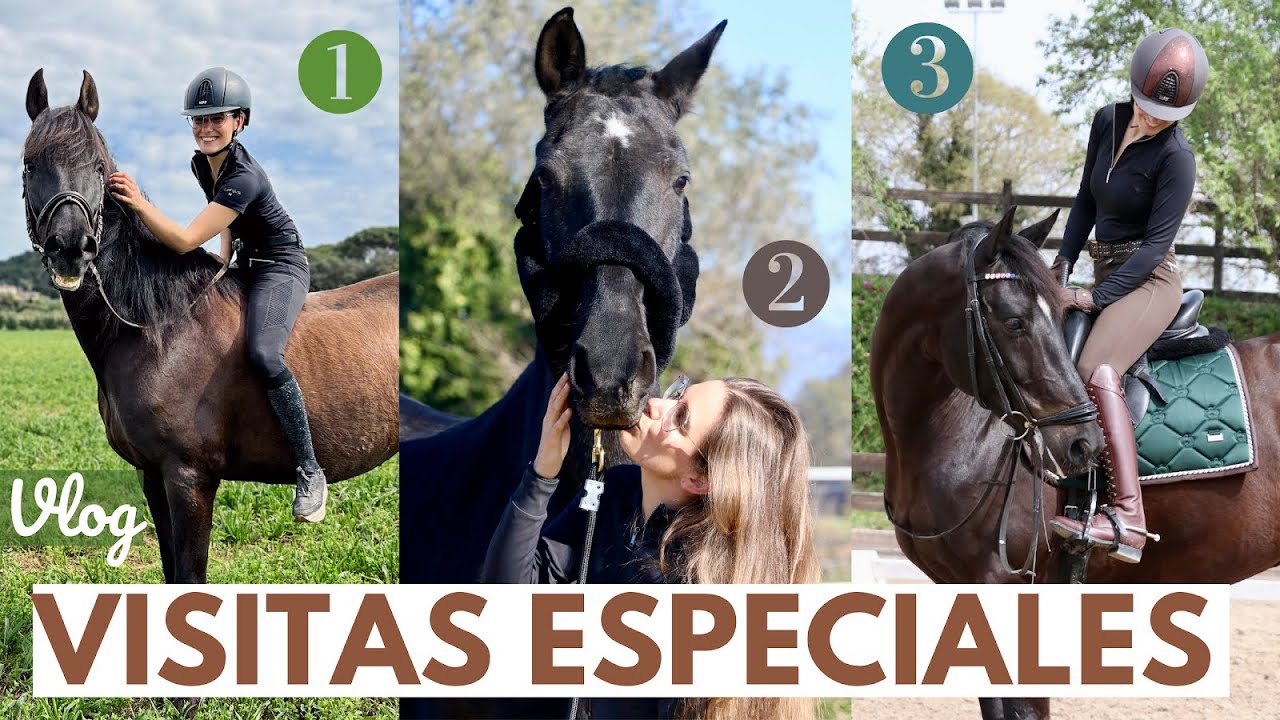 VLOG – Visito todos mis caballos en un día! 🤩
