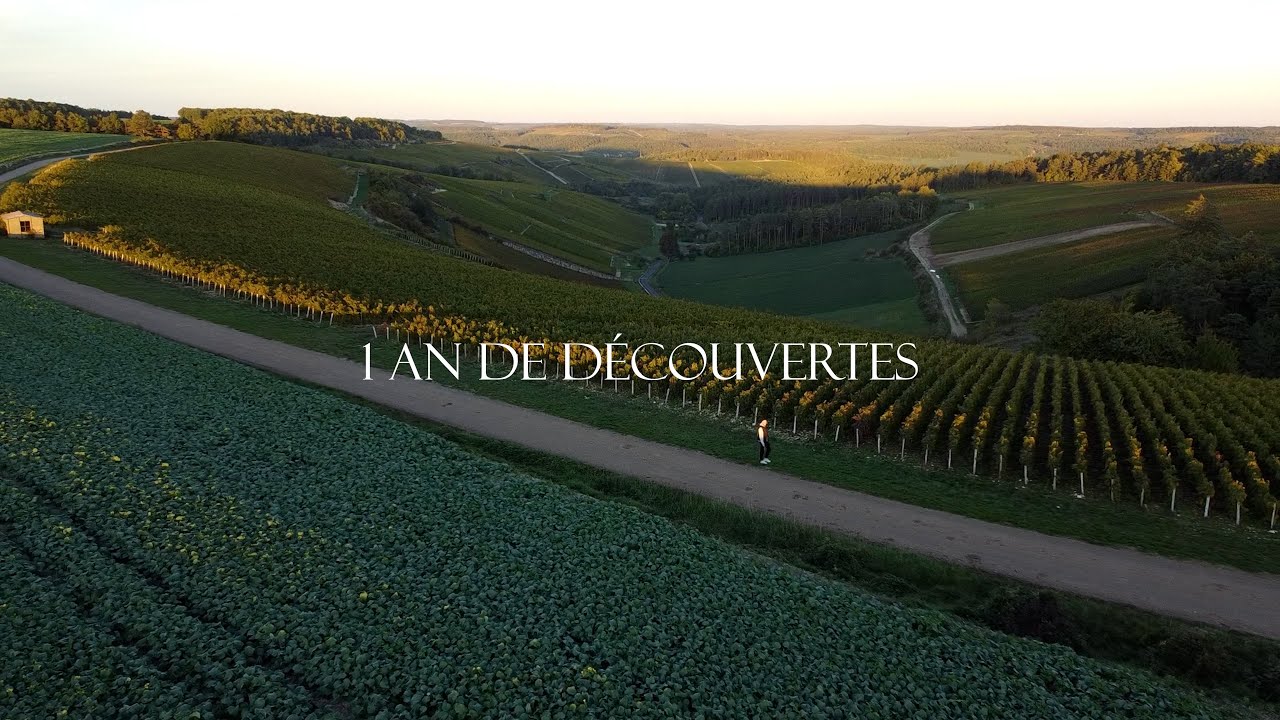 1 AN DE DECOUVERTES...