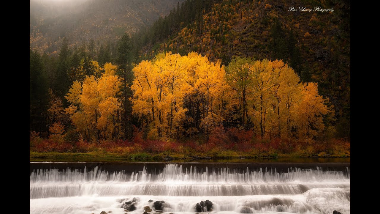 Amazing Fall Foliage in Washington
