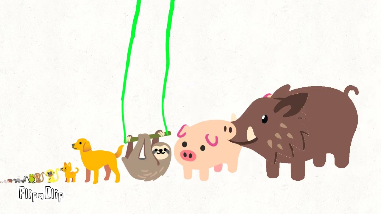 Size comparison by pomni inflation