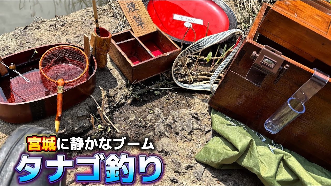 【TANAGO】宮城で静かなブームを呼ぶ極小の世界タナゴ釣り 〜Japanese tradition〜