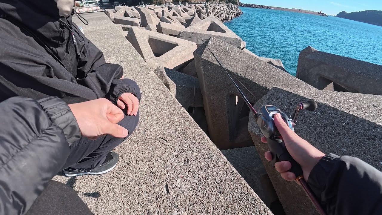 ここには、唐揚げにすると絶品の魚がいます
