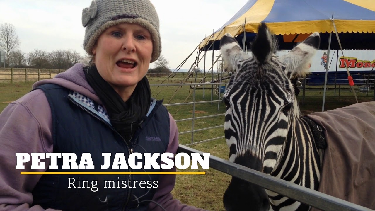 Circus Mondao criticised by animal rights campaigners