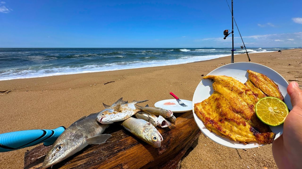 PESQUEI e PREPAREI todos os PEIXES na PESCA DE PRAIA! Pesca na praia com iscas naturais