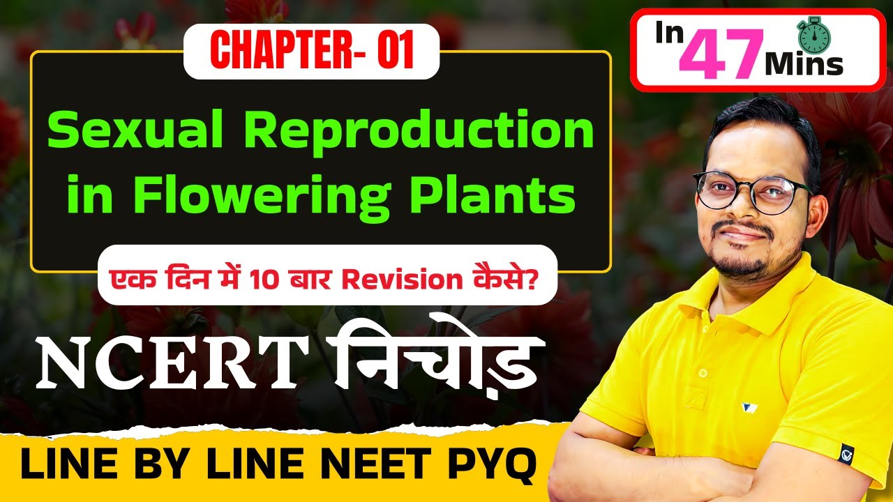 Sexual Reproduction in Flowering Plants | NCERT निचोड़ | 1 Day में 10 बार Revision | NEET 2026