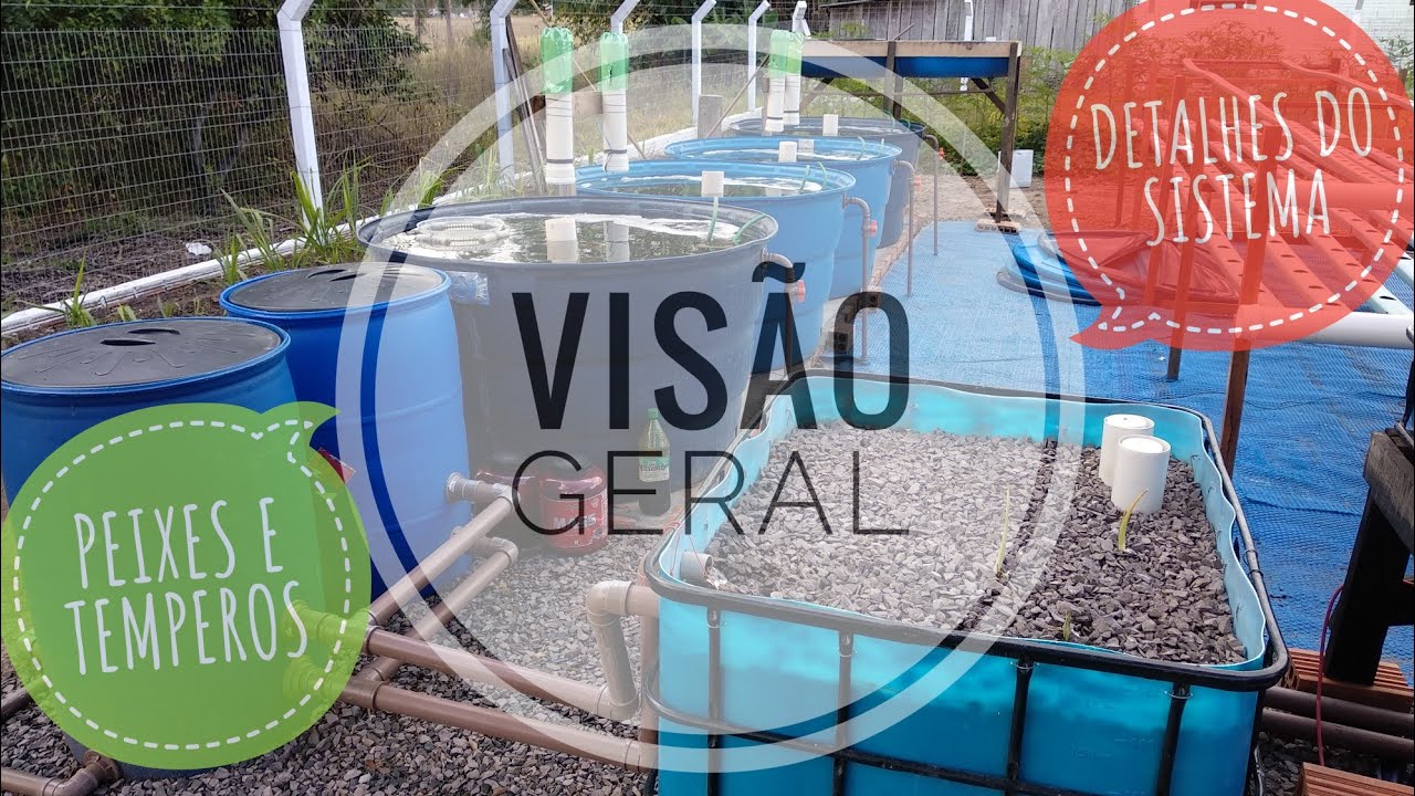 VISÃO GERAL DO SISTEMA