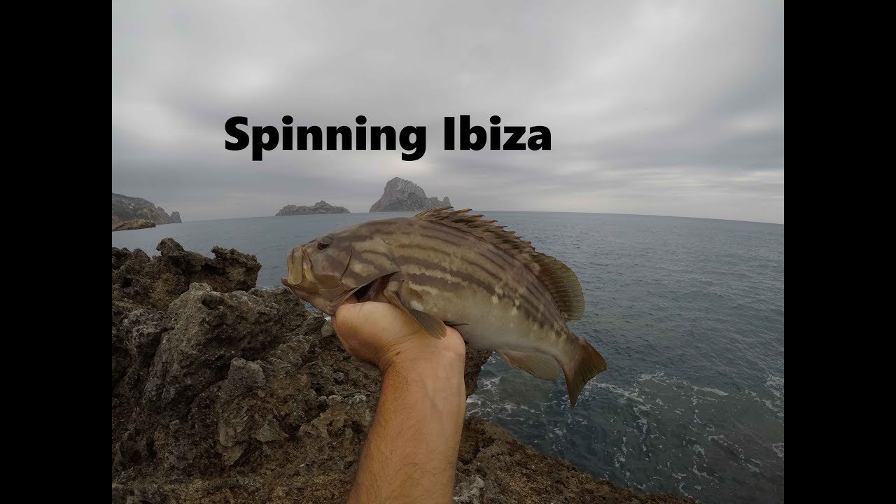 Spinning Ibiza