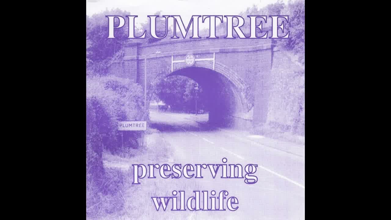 Plumtree – Preserving Wildlife 7