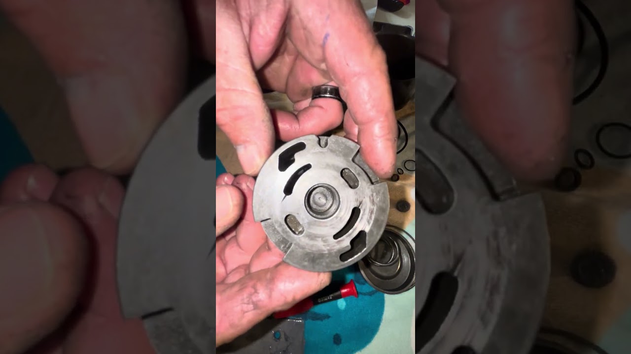Seal kit 1972 Dodge Dart/Demon power steering pump. Chrysler style pump.