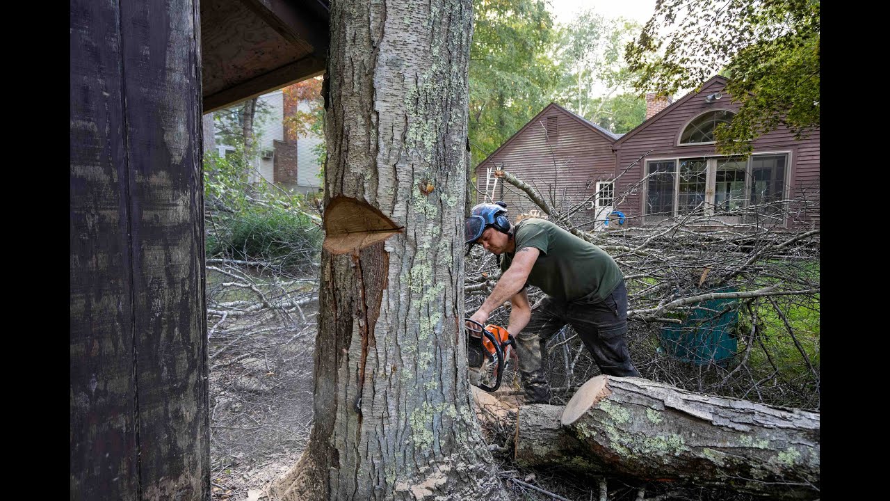 Derek Has Huge You Know Whats For Doing This!!