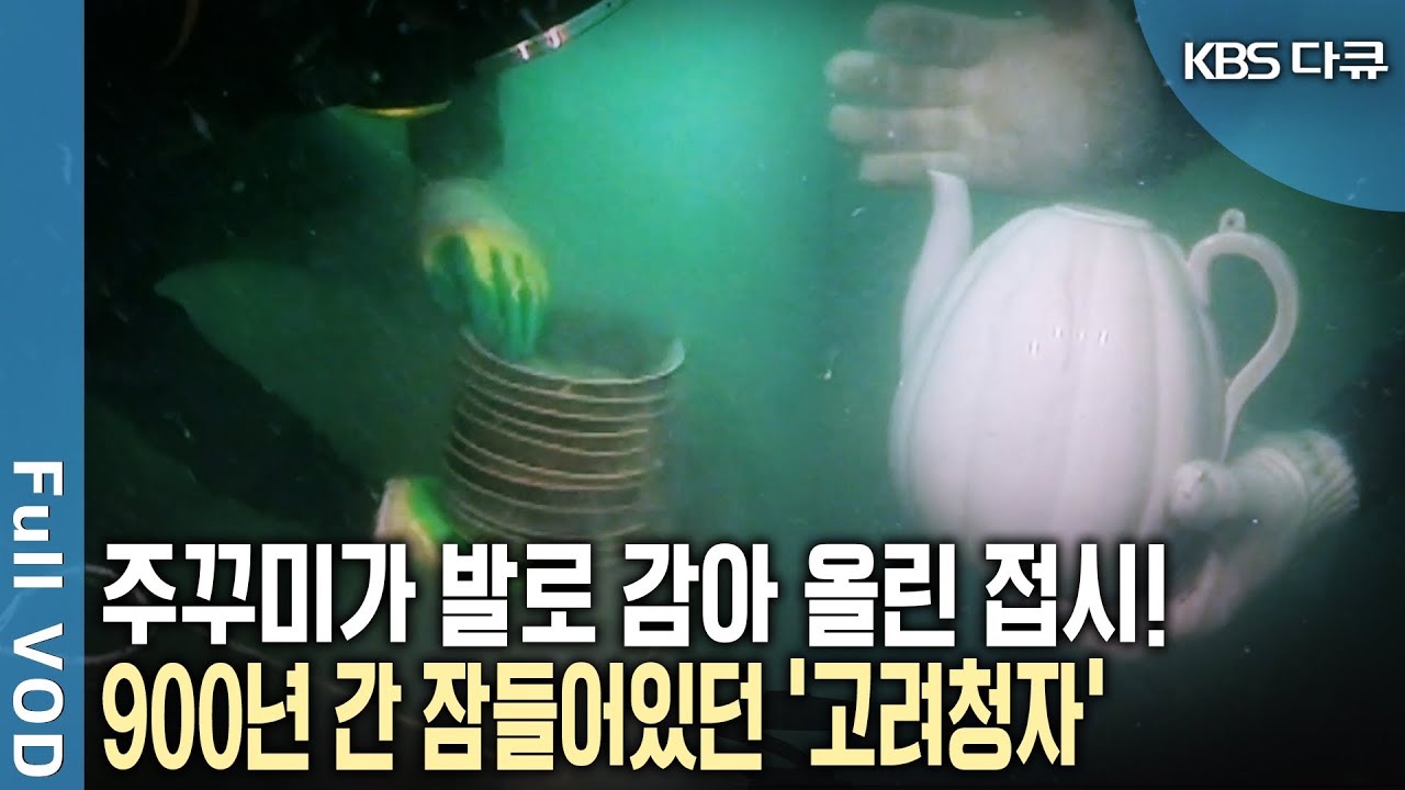 소라 통발에 걸린 접시! 900년 간 잠들어있던 2만 여점의 최상급 생활 고려청자가 발견되었다! (KBS 20080120 방송)