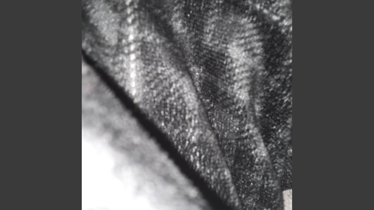 Blvck