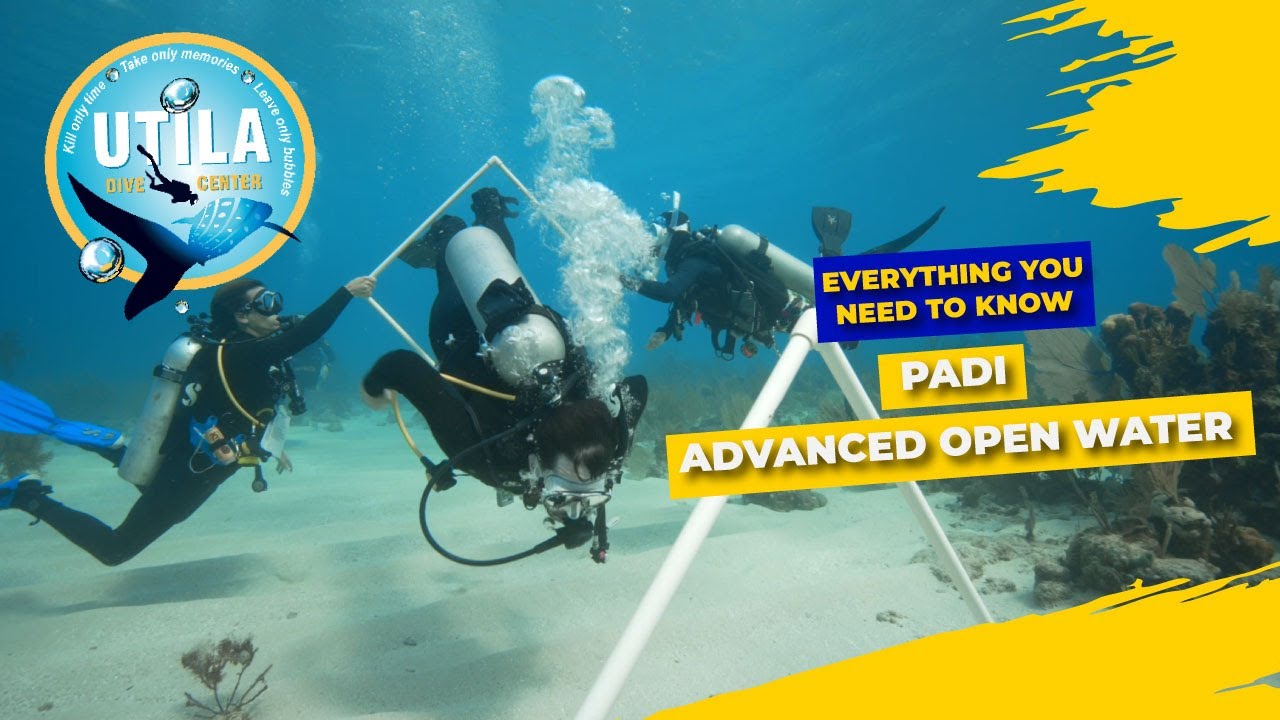 What is the PADI Advanced Open Water Course? | UTILA DIVE CENTER