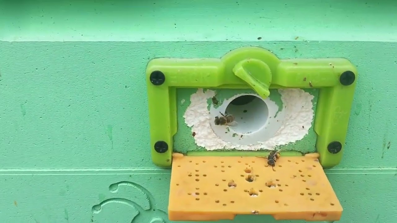 Пасека 15 апреля погода что делаю