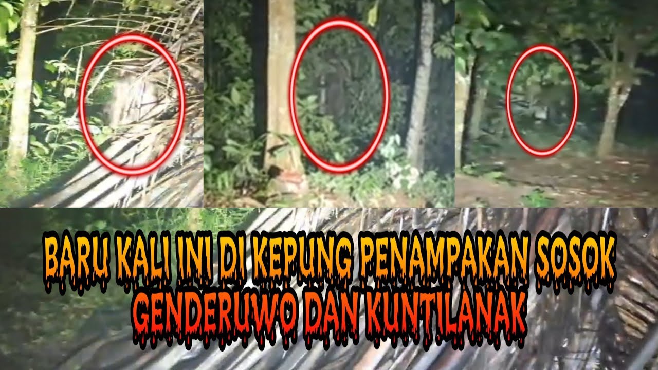 Live Mencari Kuntilanak Terbangkalai Di Kebun Angker Rembang
