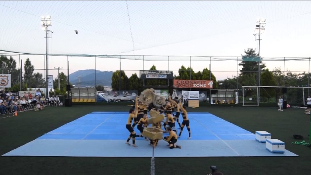 gymnastic house 2017
