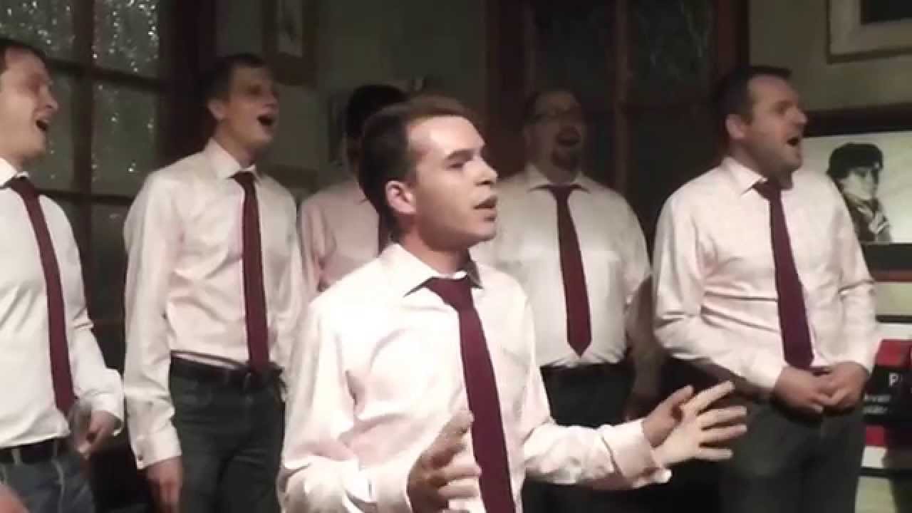 Gentlemen Singers - Hallelujah  / Leonard Cohen / Divadelní slavnosti 2014 Hradec Králové