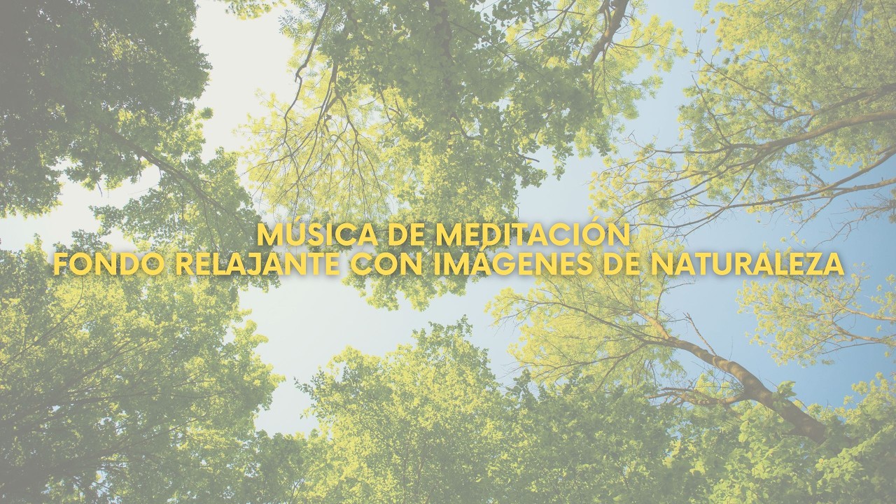 Música de Meditación - Fondo Relajante con Imágenes de Naturaleza