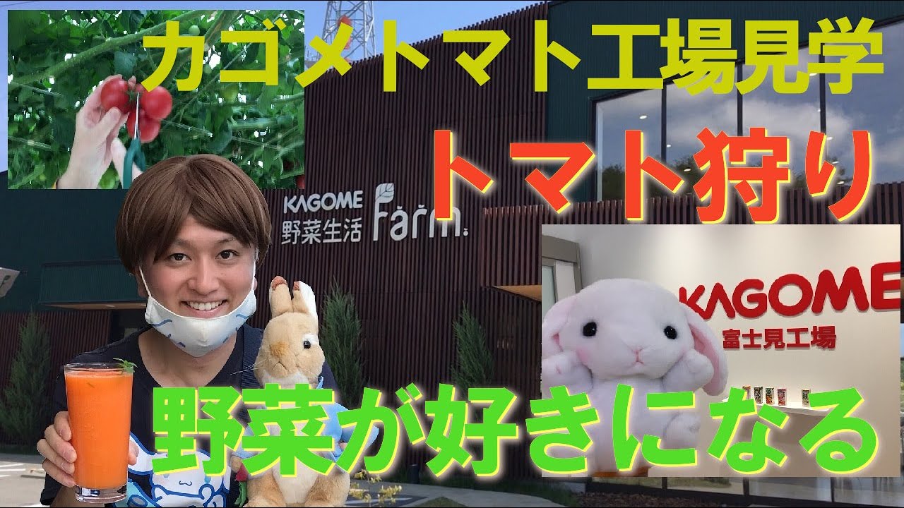 KAGOMEカゴメ野菜生活ファーム、富士見工場見学ファクトリーツアー。トマト狩り収穫、野菜が苦手な人も野菜が好きになる農業体験！長野県八ヶ岳おすすめイタリアンレストラン。スーパーホテル山梨南アルプス