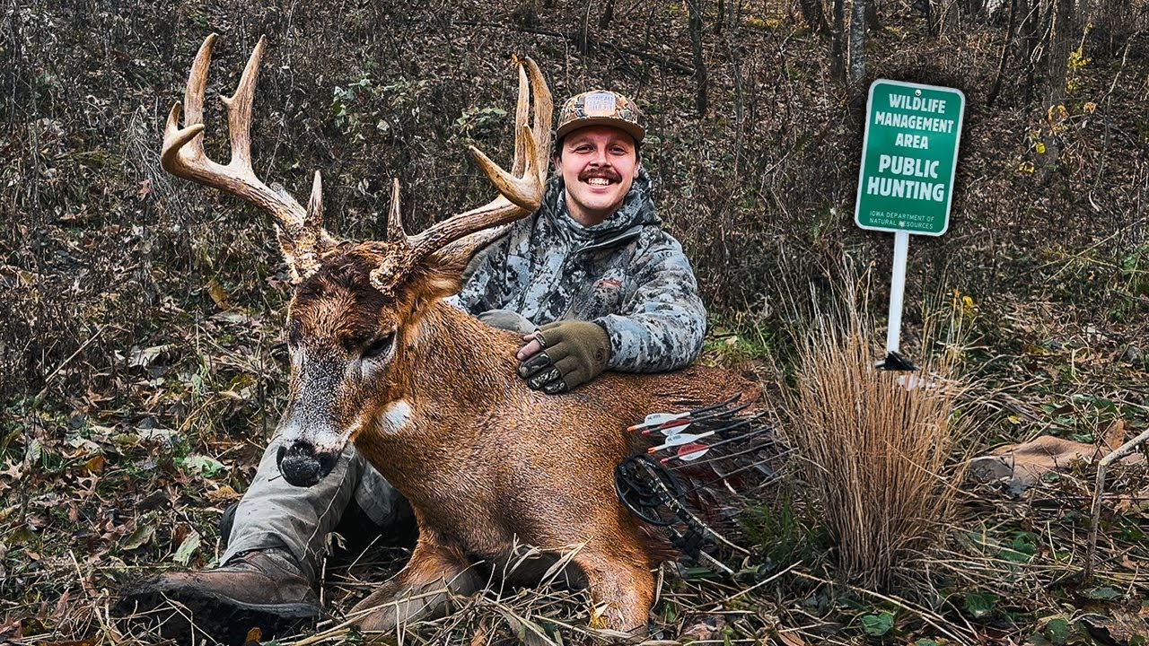 IOWA PUBLIC LAND Buck!! -Bowhunting the Rut