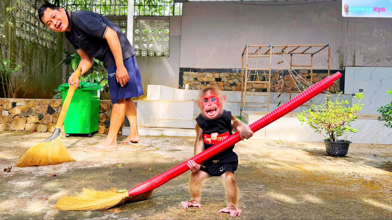 Monkey Kyo’s fun and energetic morning… while BuNa stays warm and adorable 💕