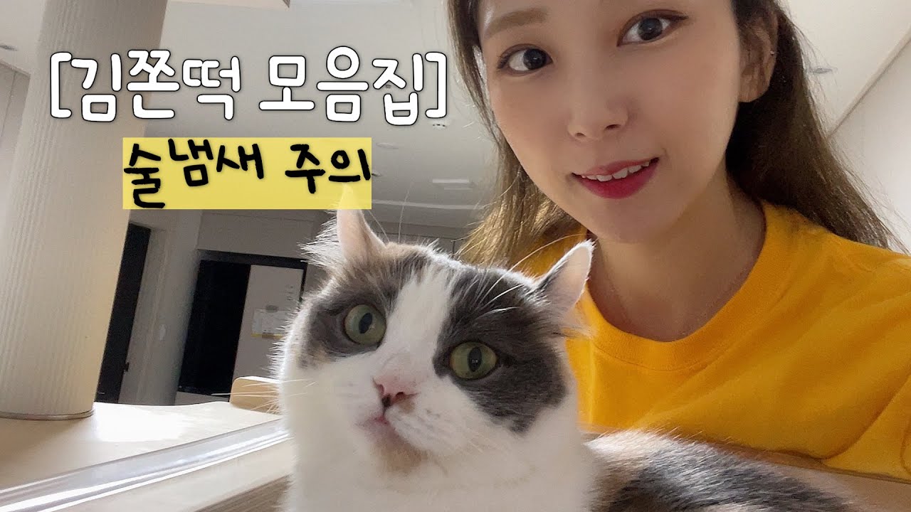 [몰아보기] 집사 술주정 받아주는 김쫀떡 모음