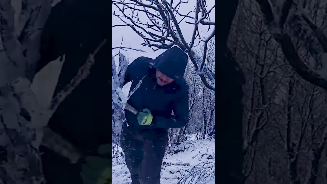 Afghanistan's Ancient Winter Survival