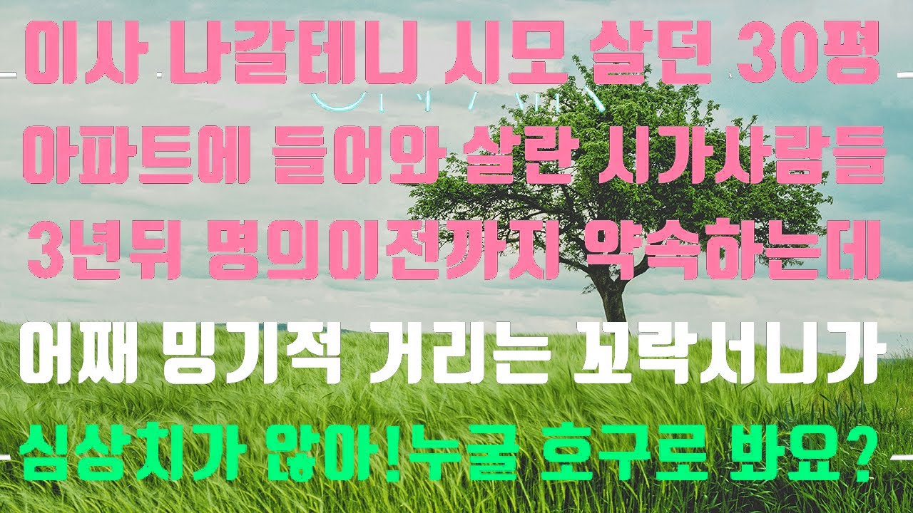 [실화사연]이사나갈테니들어와 살라던시모 명의도 바꿔준다더니 이사 나갈 생각을 안하네 뻔뻔한 것들같으니라고!#신청사연#실화사연#사이다썰