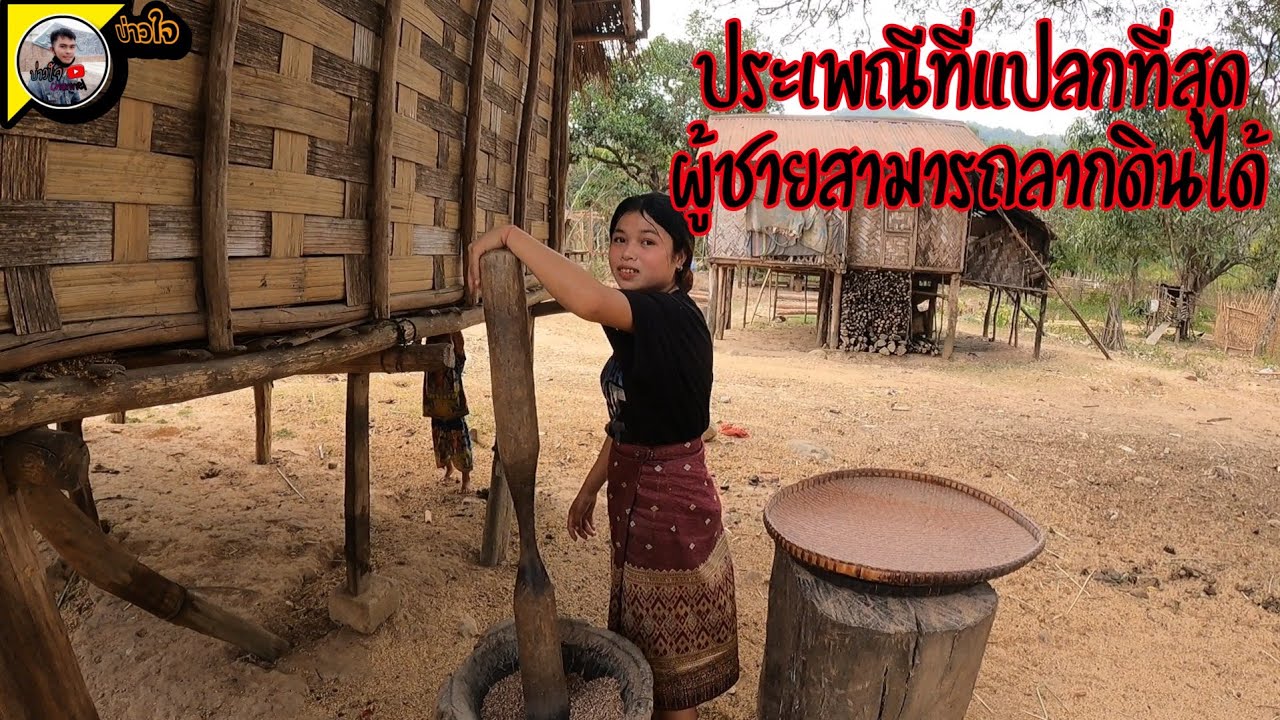 ประเพณีที่แปลกที่สุด 14 กุมภาพันธ์ ค.ศ. 2026